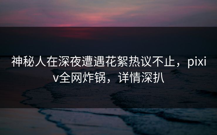 神秘人在深夜遭遇花絮热议不止，pixiv全网炸锅，详情深扒