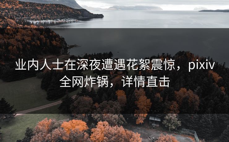 业内人士在深夜遭遇花絮震惊，pixiv全网炸锅，详情直击