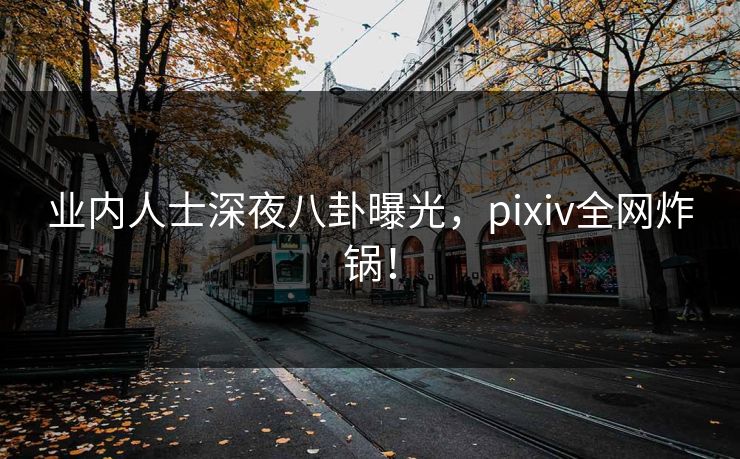 业内人士深夜八卦曝光，pixiv全网炸锅！