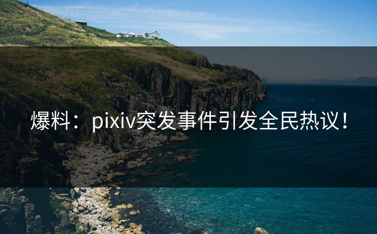 爆料：pixiv突发事件引发全民热议！